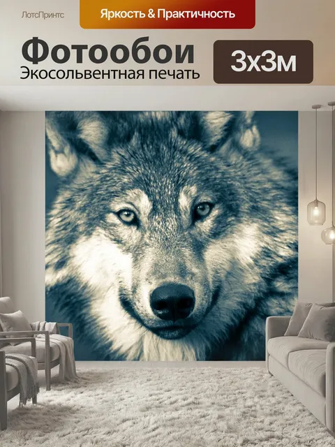 Фотообои Волк, голова волка, волки