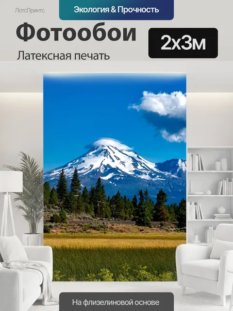 200 × 300 см · Латексная печать