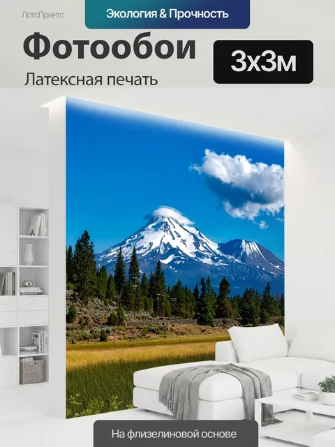 300 × 300 см · Латексная печать