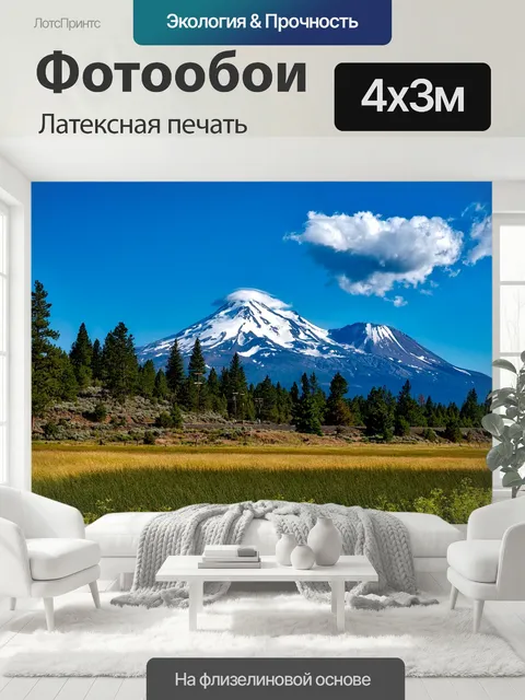 400 × 300 см · Латексная печать