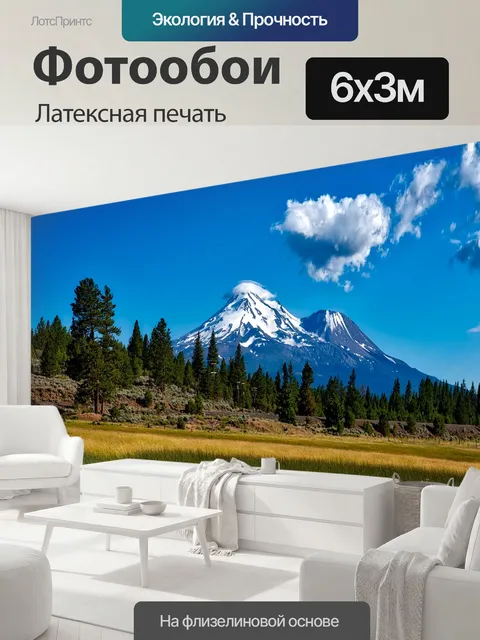 600 × 300 см · Латексная печать