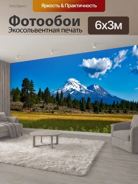 600 × 300 см · Экосольвентная печать