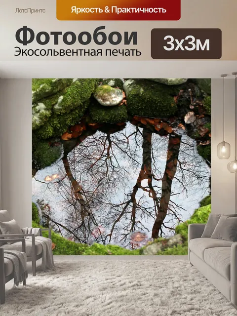 Фотообои Природа, источник, фонтан