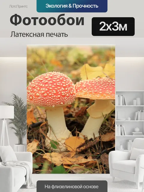 200 × 300 см · Латексная печать