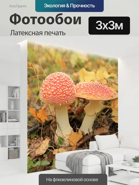 300 × 300 см · Латексная печать