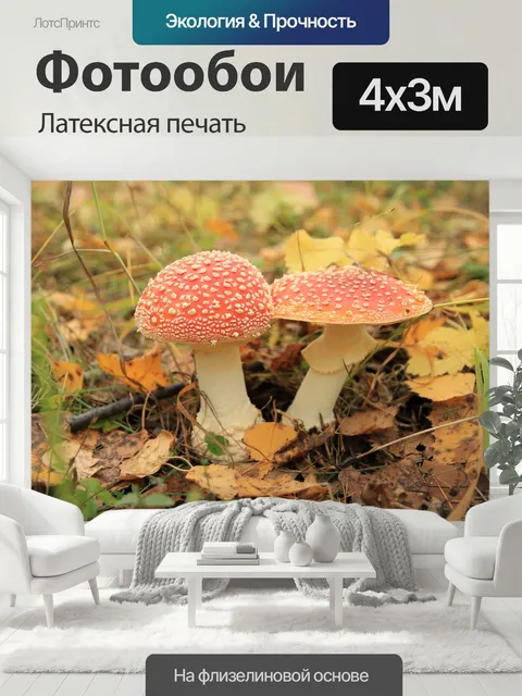 400 × 300 см · Латексная печать