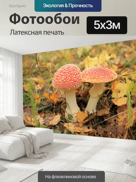 500 × 300 см · Латексная печать