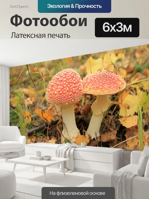 600 × 300 см · Латексная печать