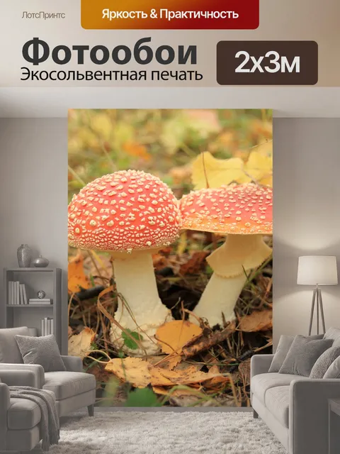 200 × 300 см · Экосольвентная печать