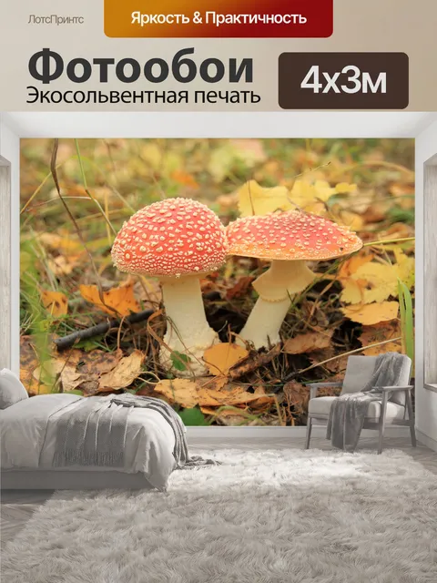 400 × 300 см · Экосольвентная печать