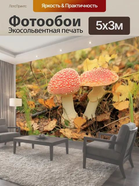 500 × 300 см · Экосольвентная печать