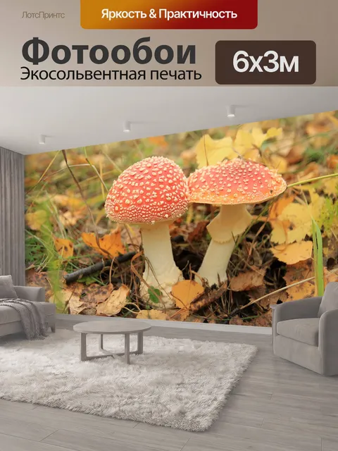 600 × 300 см · Экосольвентная печать