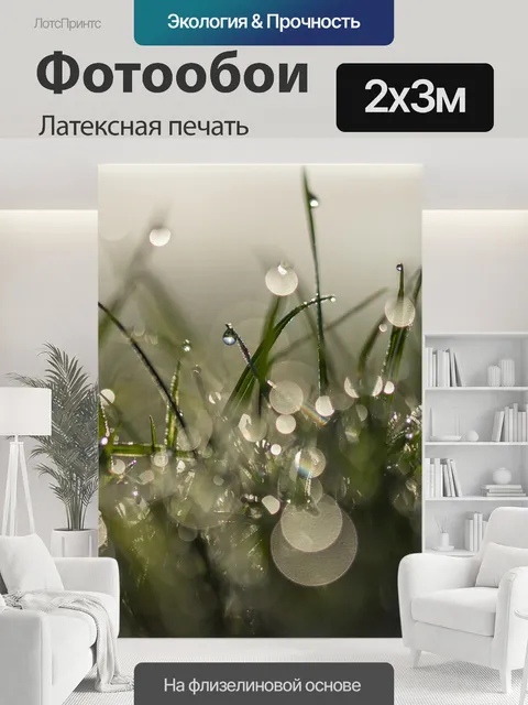 200 × 300 см · Латексная печать