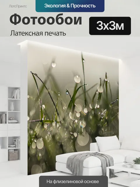 300 × 300 см · Латексная печать
