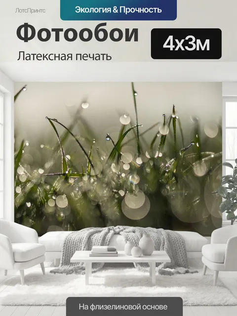400 × 300 см · Латексная печать