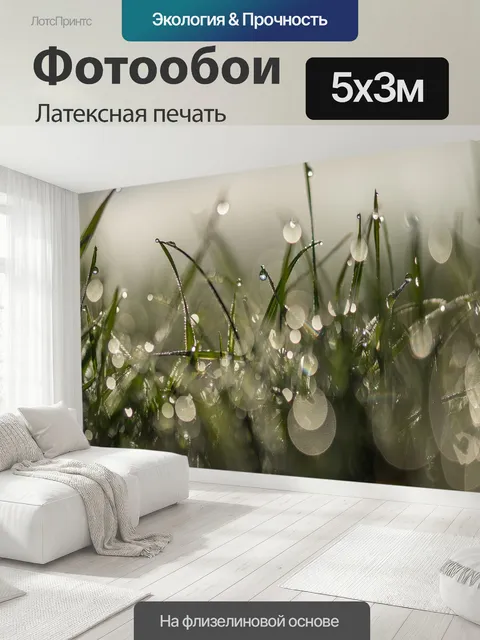 500 × 300 см · Латексная печать