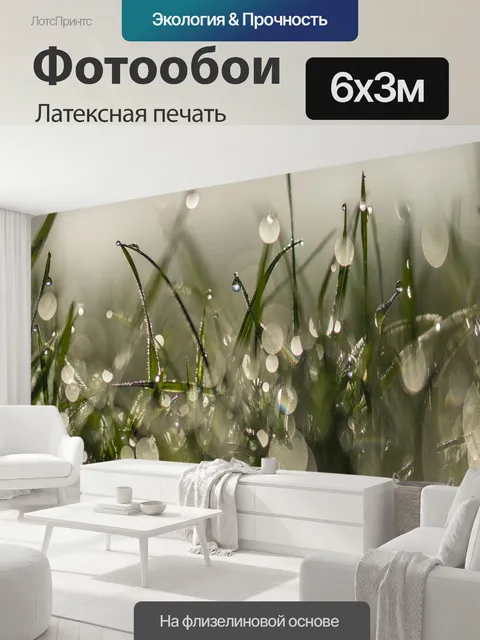 600 × 300 см · Латексная печать