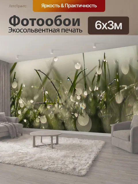 600 × 300 см · Экосольвентная печать