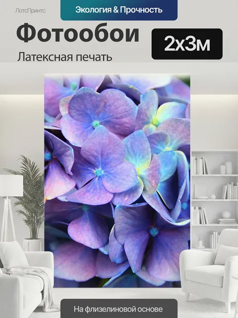 200 × 300 см · Латексная печать