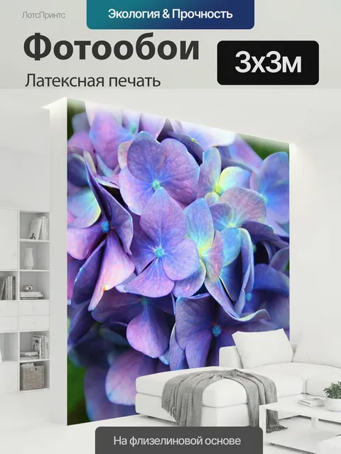 300 × 300 см · Латексная печать