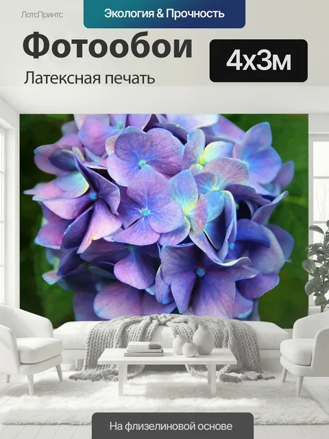 400 × 300 см · Латексная печать