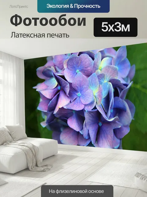 500 × 300 см · Латексная печать