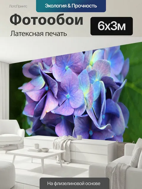 600 × 300 см · Латексная печать