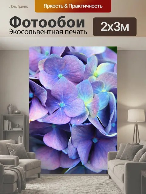 200 × 300 см · Экосольвентная печать