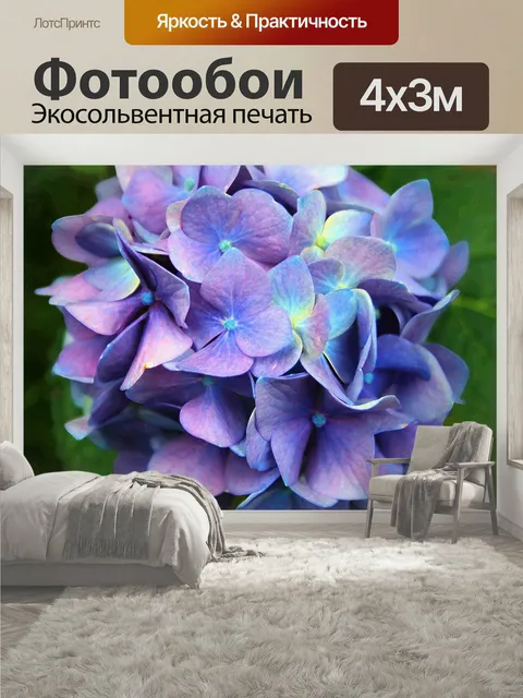 400 × 300 см · Экосольвентная печать