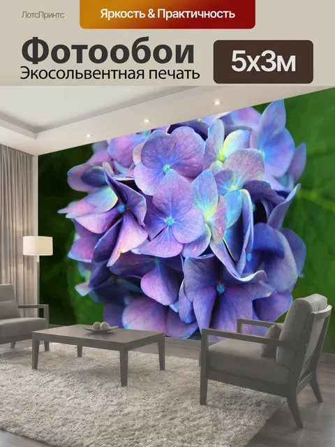 500 × 300 см · Экосольвентная печать