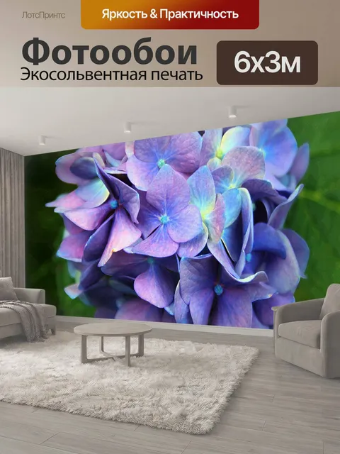 600 × 300 см · Экосольвентная печать