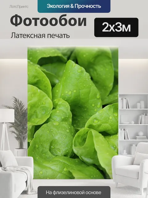 200 × 300 см · Латексная печать
