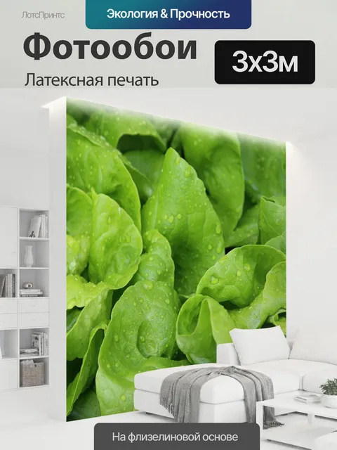 300 × 300 см · Латексная печать
