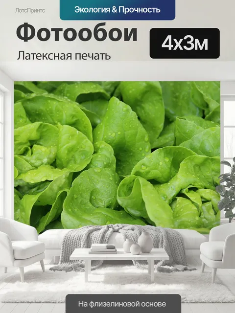400 × 300 см · Латексная печать