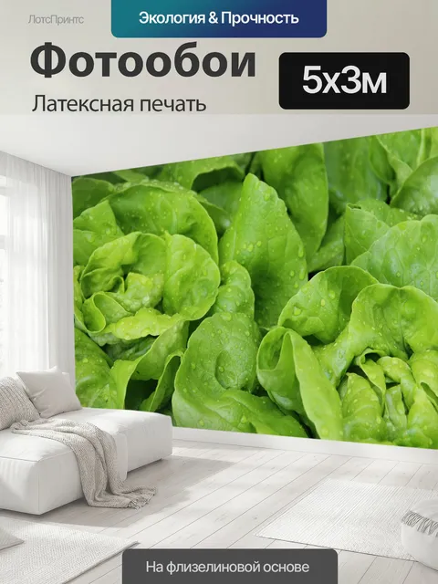 500 × 300 см · Латексная печать