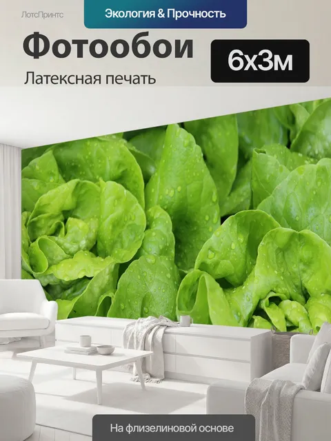 600 × 300 см · Латексная печать