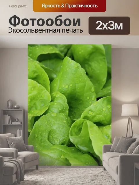 200 × 300 см · Экосольвентная печать