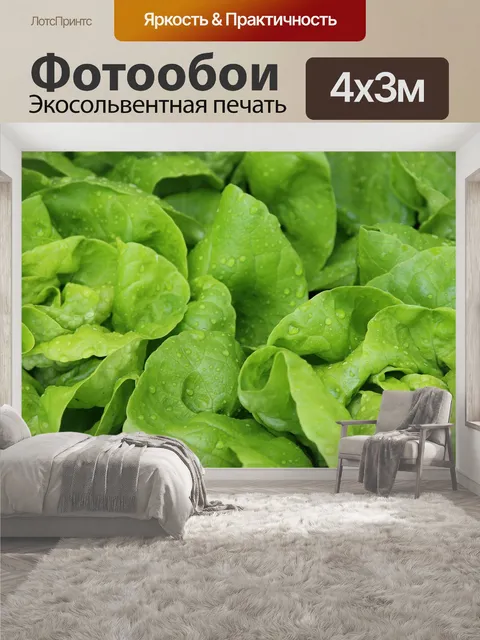 400 × 300 см · Экосольвентная печать