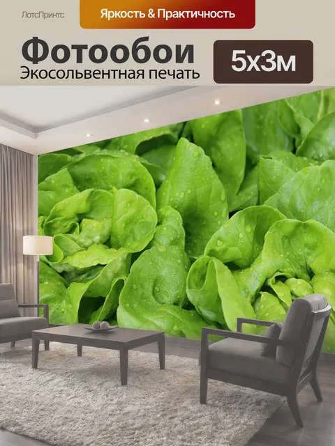 500 × 300 см · Экосольвентная печать
