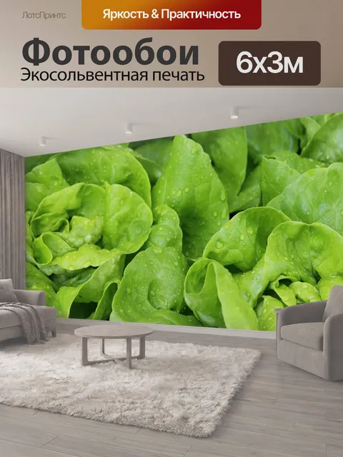 600 × 300 см · Экосольвентная печать