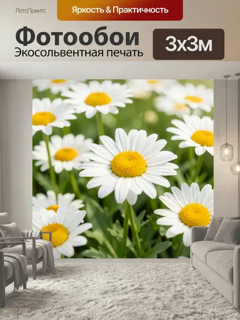 Фотообои Белые ромашки в солнечном саду. Нежные луговые цветы с белоснежными лепестками и ярко-желтыми сердцевинами, м…