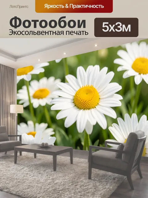 Фотообои Белые ромашки в солнечном саду