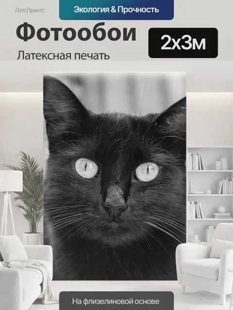 200 × 300 см · Латексная печать