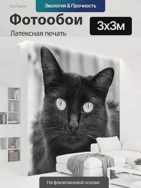 300 × 300 см · Латексная печать