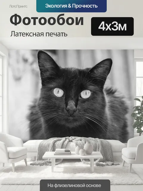 400 × 300 см · Латексная печать