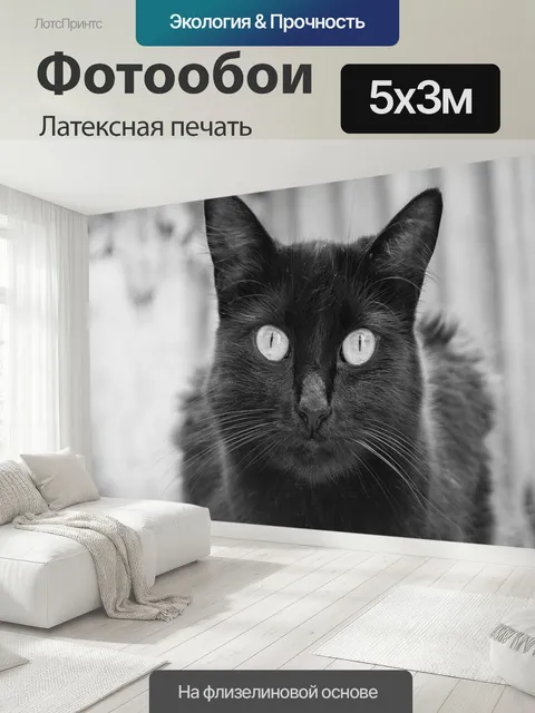 500 × 300 см · Латексная печать