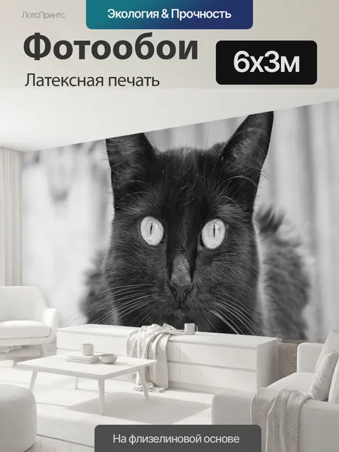 600 × 300 см · Латексная печать