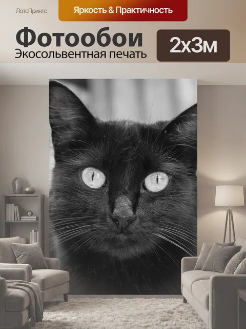 200 × 300 см · Экосольвентная печать