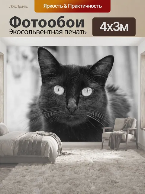 400 × 300 см · Экосольвентная печать