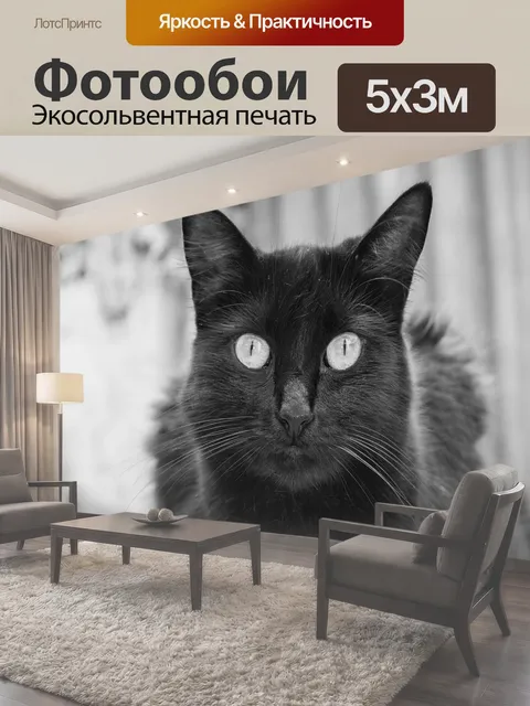 500 × 300 см · Экосольвентная печать